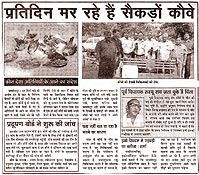 Crow Deaths, Saryu Roy-A Social Activists, MLA, East Jamshedpur, Jharkhand, India